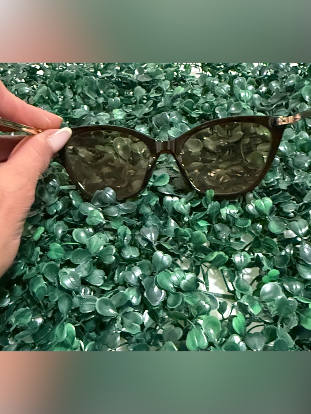 Womens Cat-Eye Sunglasses in Olive Green - Picture 4 of 5